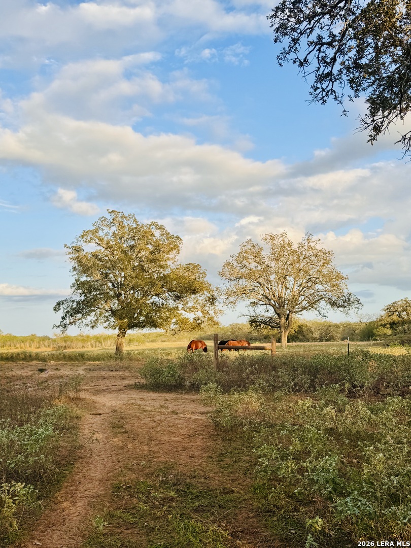 1410 W County Road 109 Leesville TX 78122