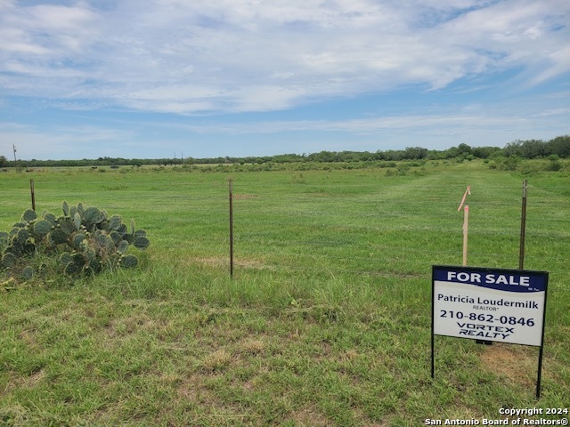 Tbd Tract 1 Street Highway 119 Stockdale TX 78160