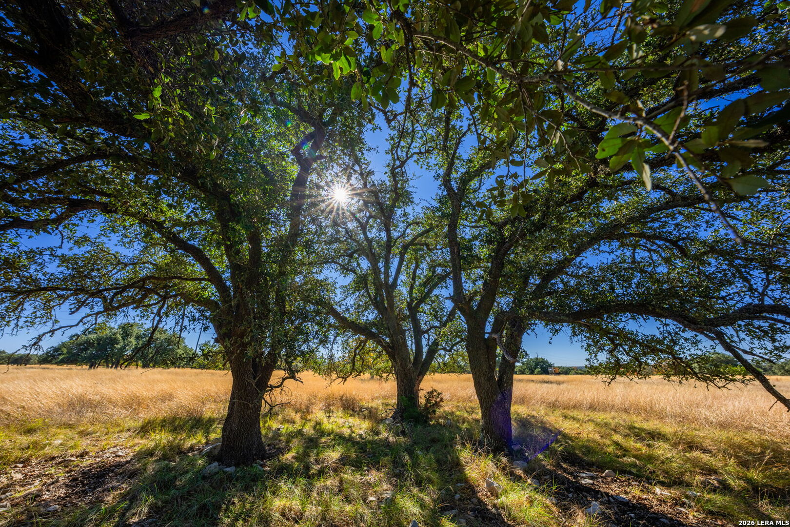 1357 Legacy Oaks Drive Harper TX 78631