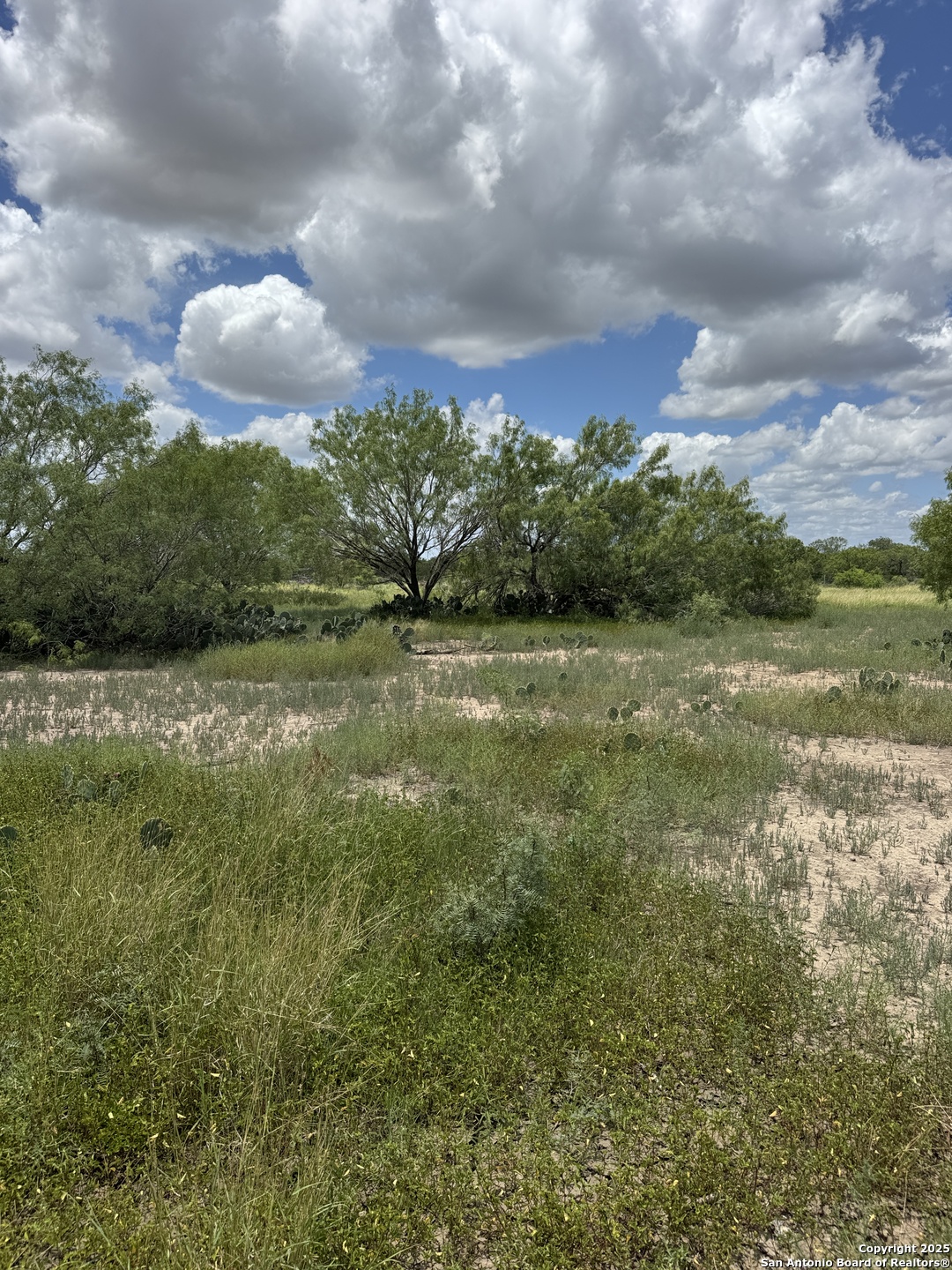 10 Windmill Ranchettes Cr 329 Jourdanton TX 78026