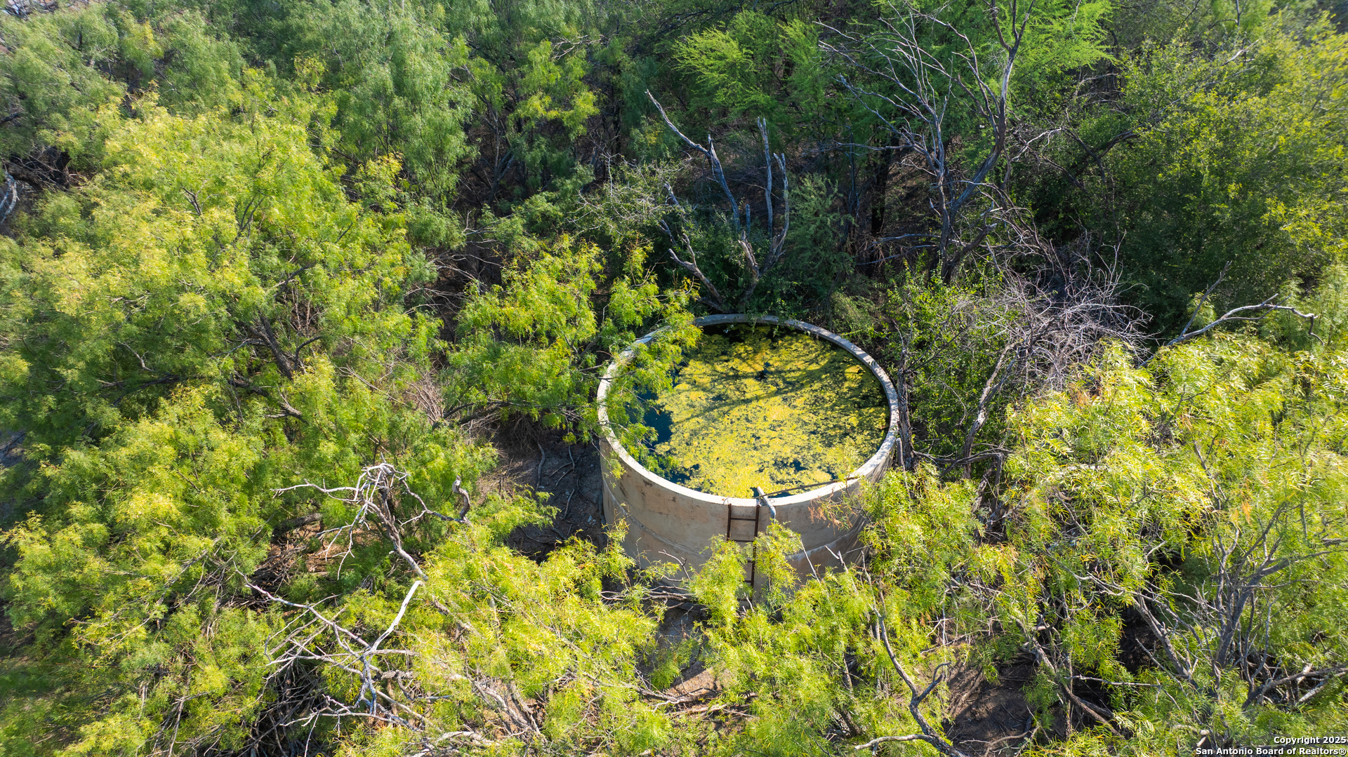 000 Old Hamilton Road Del Rio TX 78841