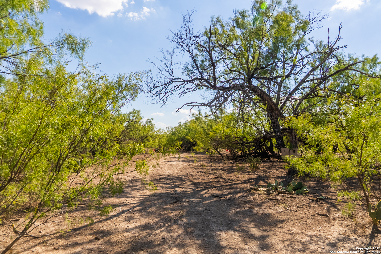 000 Old Hamilton Road Del Rio TX 78841