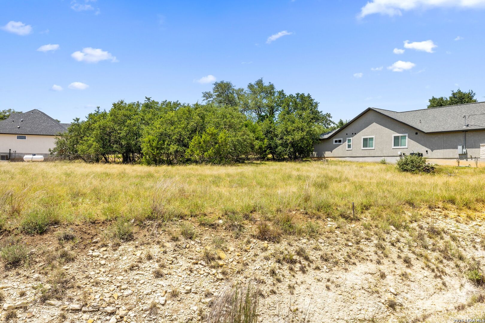 223 Peter Kleid Loop Blanco TX 78606