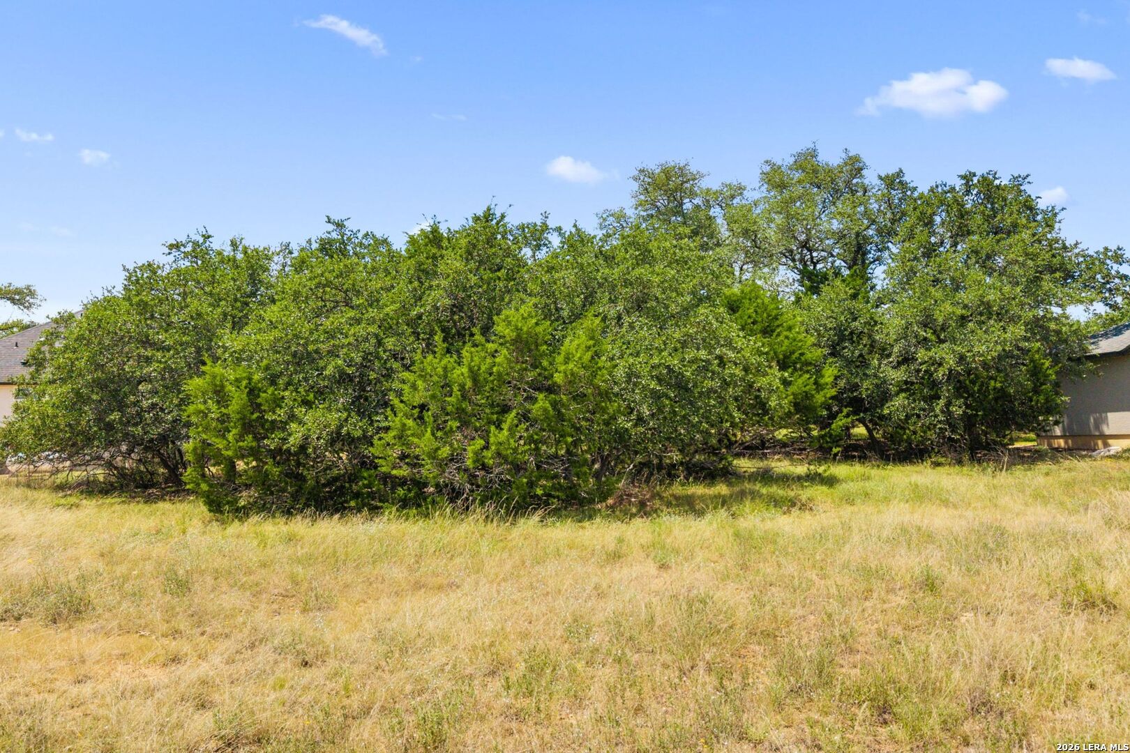 223 Peter Kleid Loop Blanco TX 78606