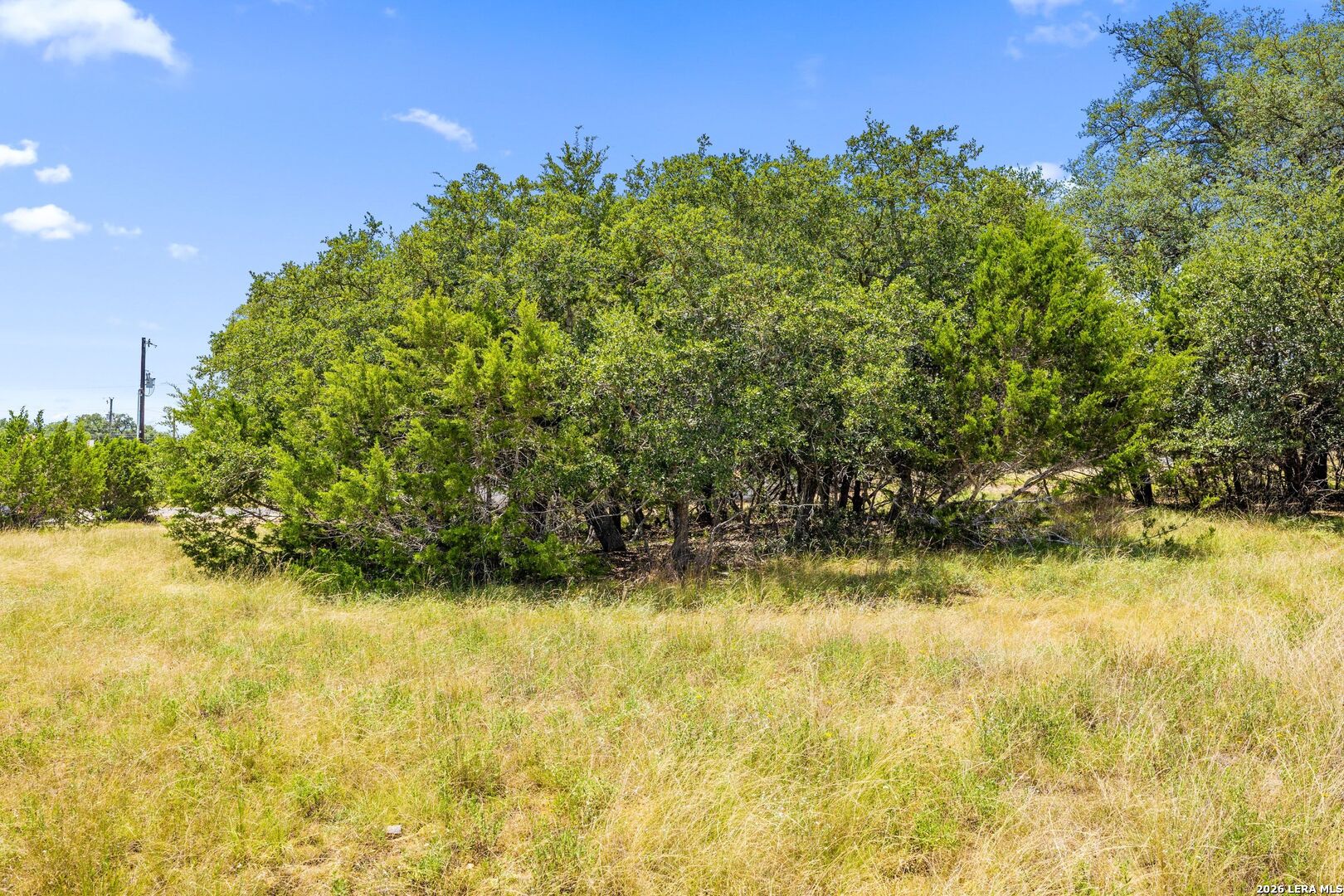 223 Peter Kleid Loop Blanco TX 78606