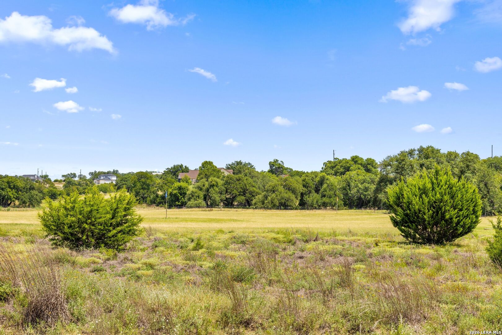 223 Peter Kleid Loop Blanco TX 78606
