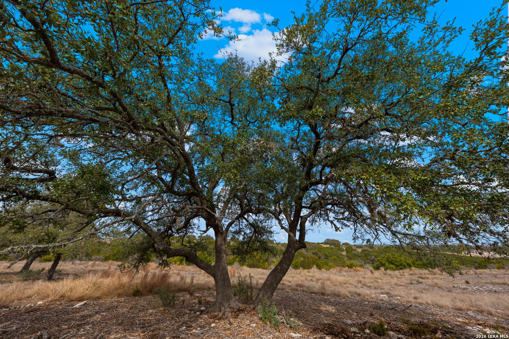 Lot 80 Firsching Road Kerrville TX 78028