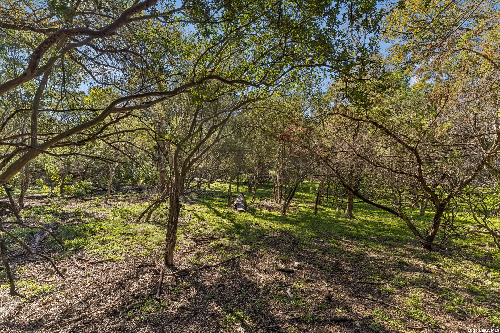 000 River Point Boerne TX 78006