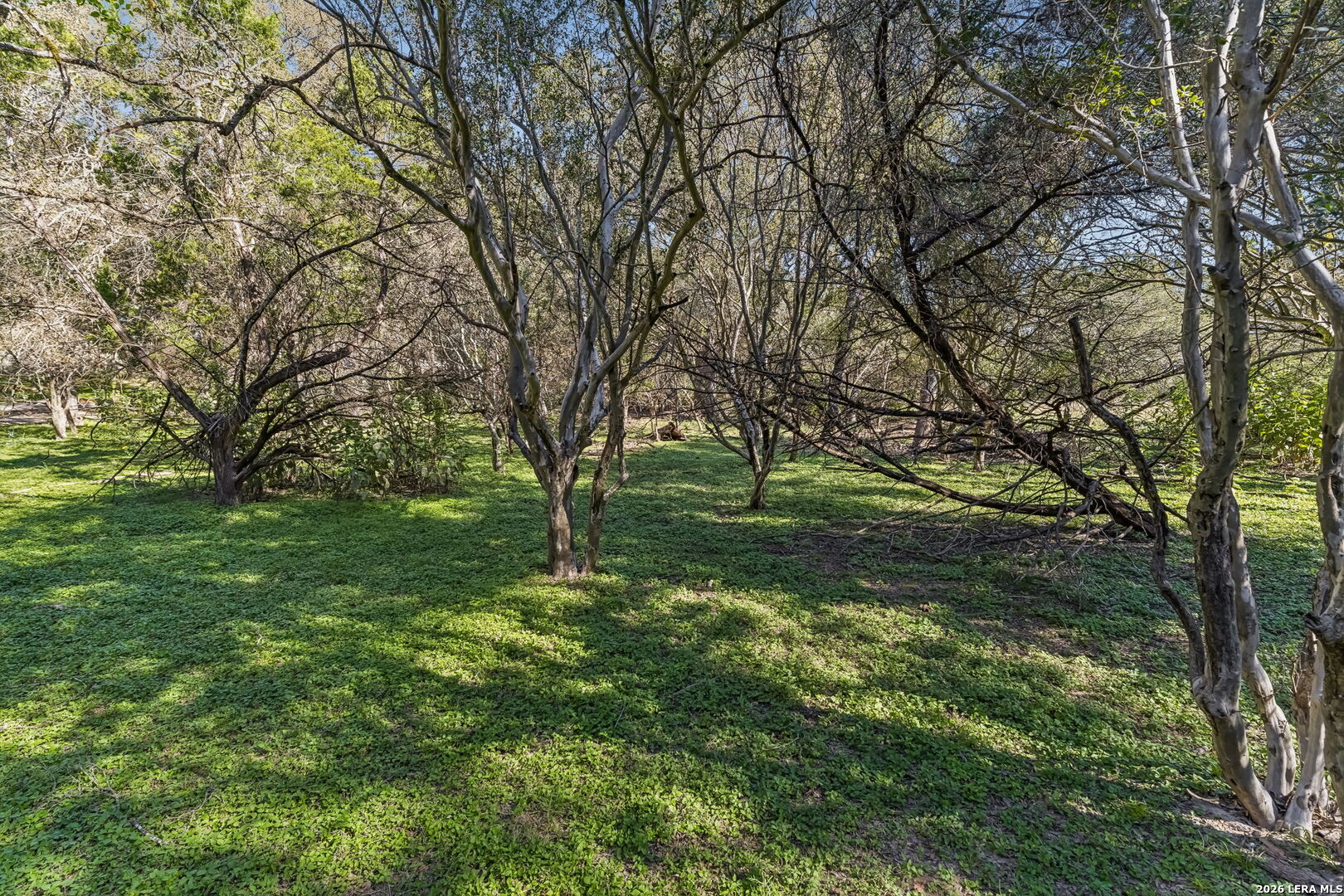 000 River Point Boerne TX 78006