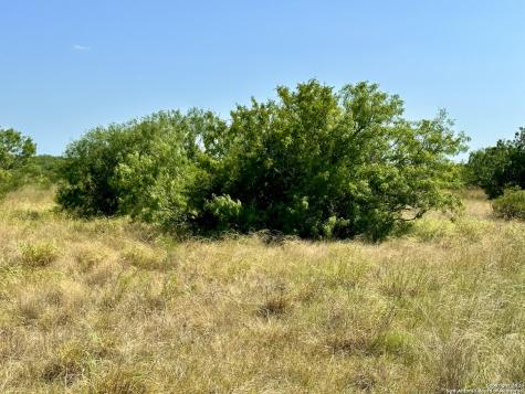O County Road 116 George West TX 78022