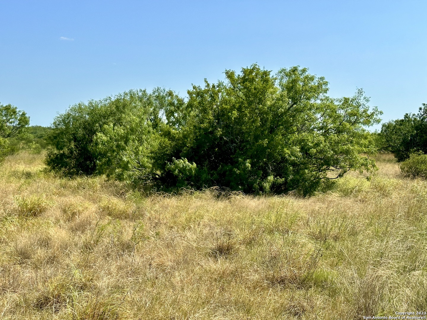 O County Road 116 George West TX 78022