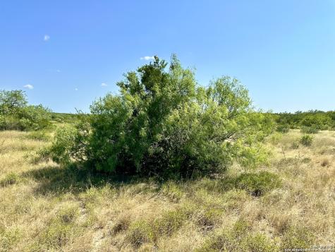 O County Road 116 George West TX 78022