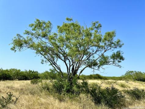 O County Road 116 George West TX 78022