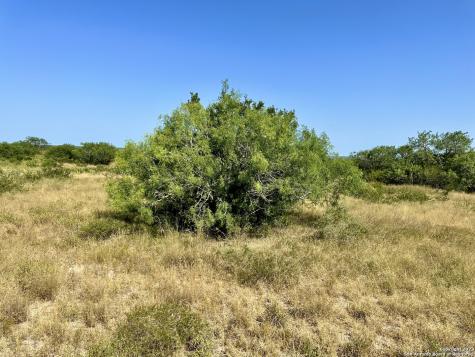 O County Road 116 George West TX 78022