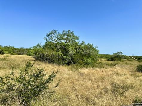 O County Road 116 George West TX 78022