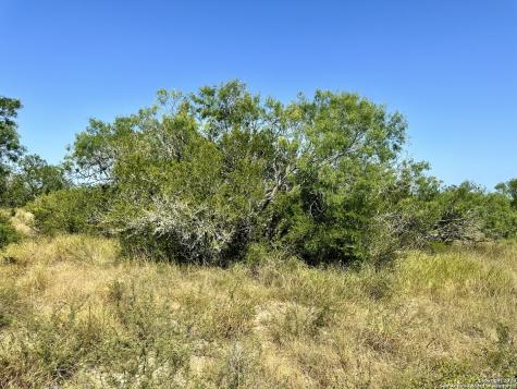 O County Road 116 George West TX 78022