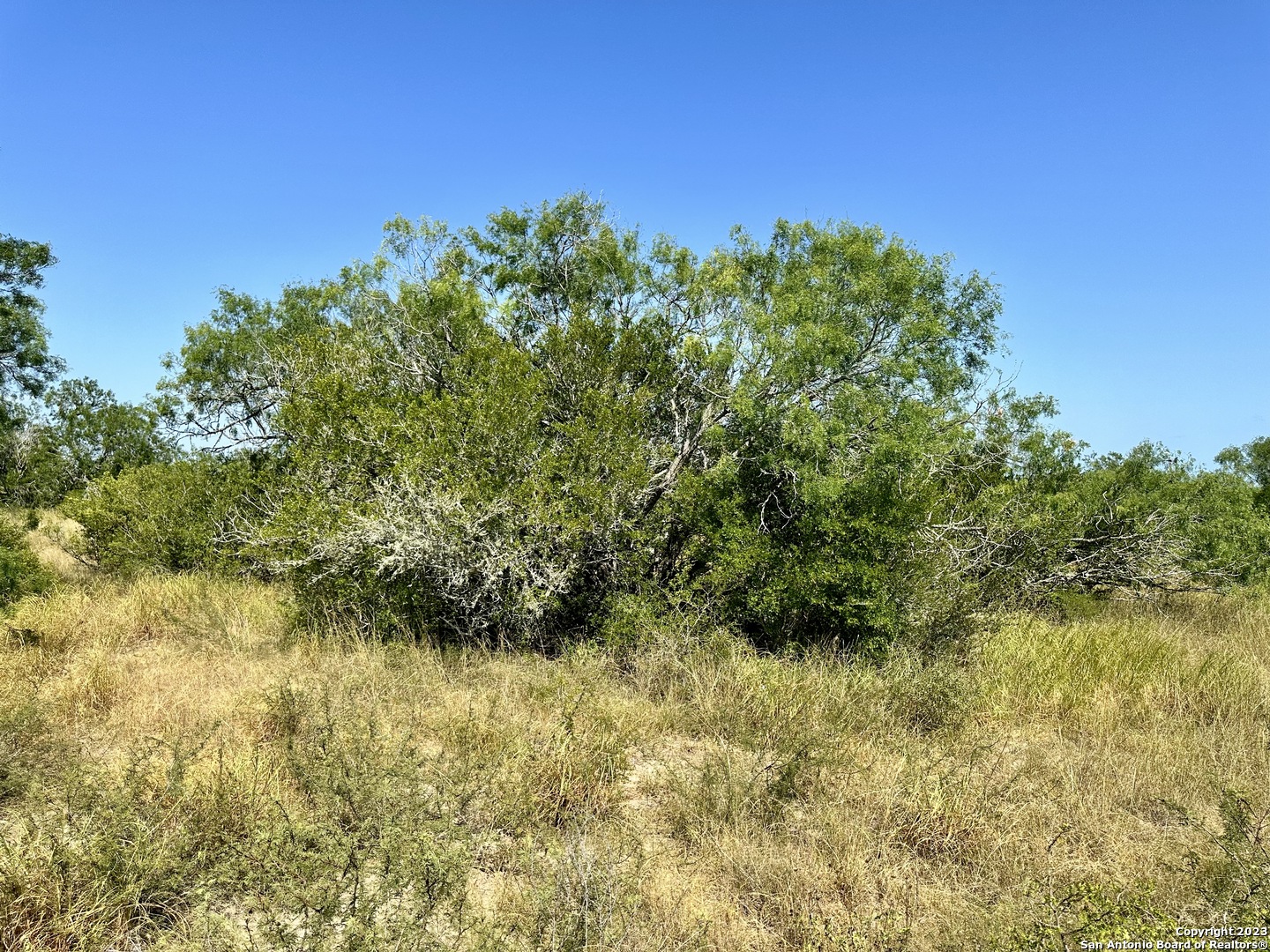 O County Road 116 George West TX 78022