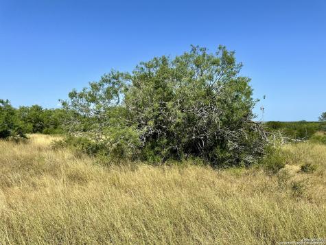 O County Road 116 George West TX 78022