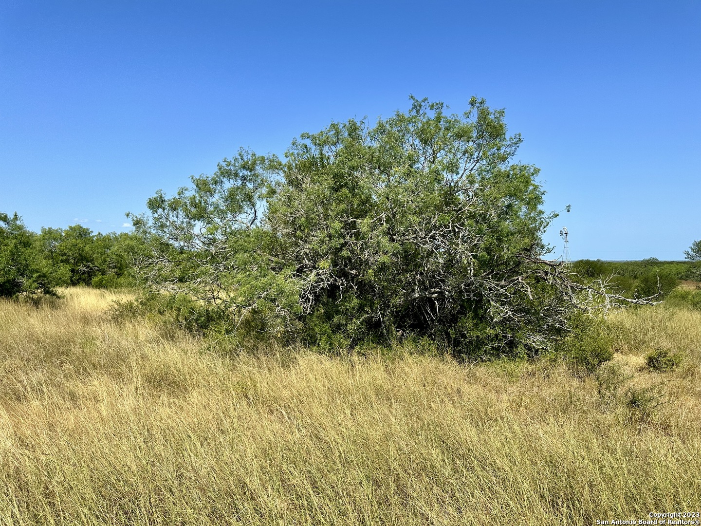 O County Road 116 George West TX 78022