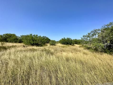 O County Road 116 George West TX 78022