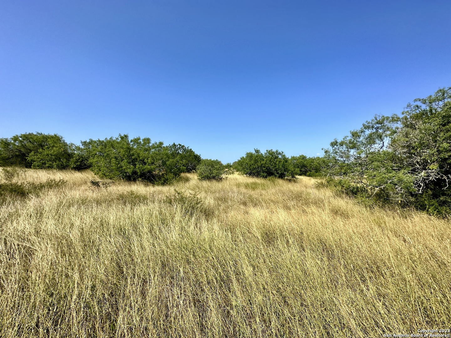 O County Road 116 George West TX 78022