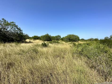 O County Road 116 George West TX 78022