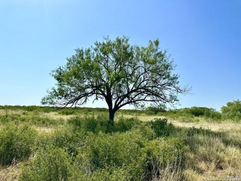 O County Road 116 George West TX 78022
