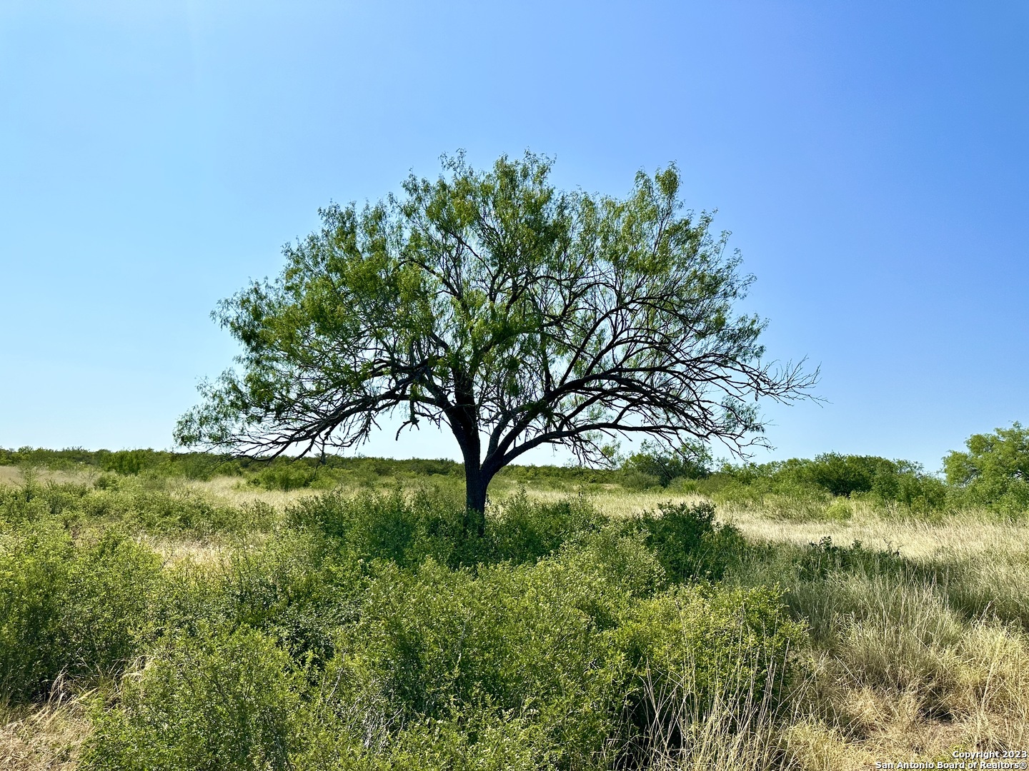 O County Road 116 George West TX 78022