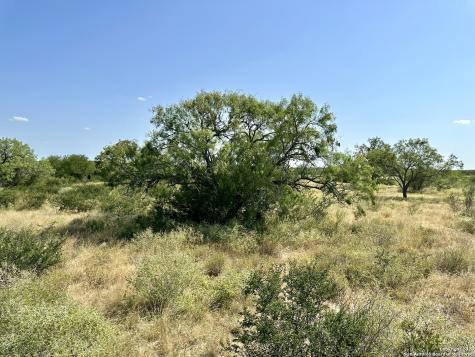 O County Road 116 George West TX 78022