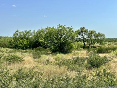 O County Road 116 George West TX 78022