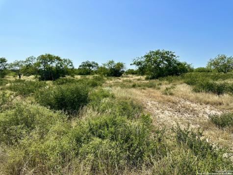 O County Road 116 George West TX 78022