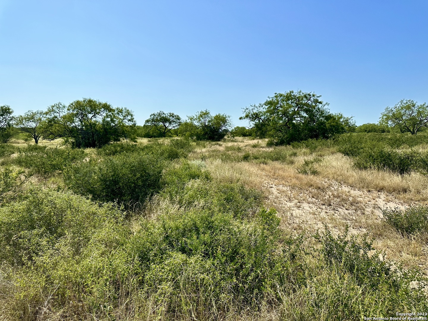 O County Road 116 George West TX 78022