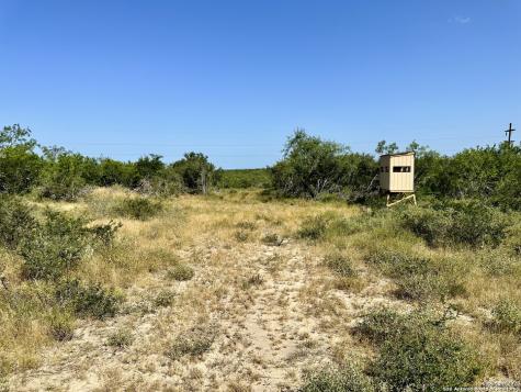 O County Road 116 George West TX 78022