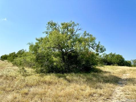 O County Road 116 George West TX 78022