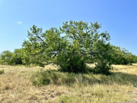 O County Road 116 George West TX 78022