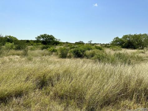 O County Road 116 George West TX 78022