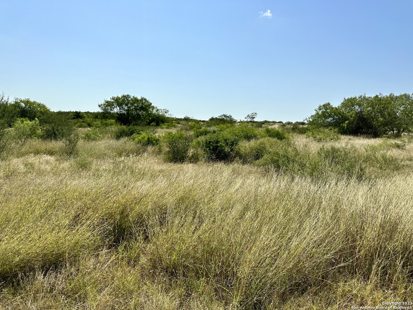 O County Road 116 George West TX 78022