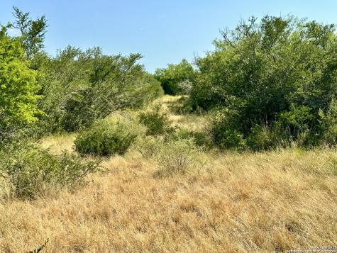 O County Road 116 George West TX 78022