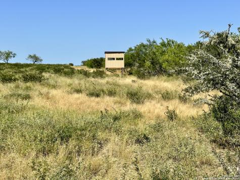 O County Road 116 George West TX 78022