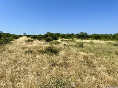 O County Road 116 George West TX 78022