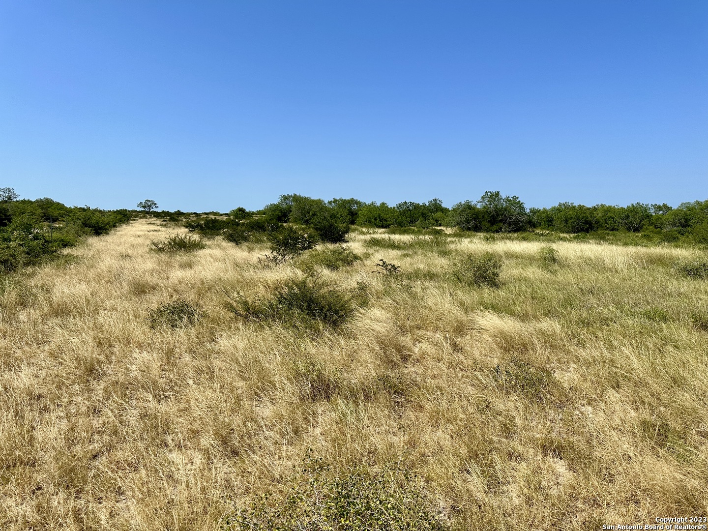 O County Road 116 George West TX 78022