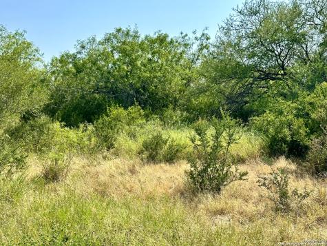 O County Road 116 George West TX 78022