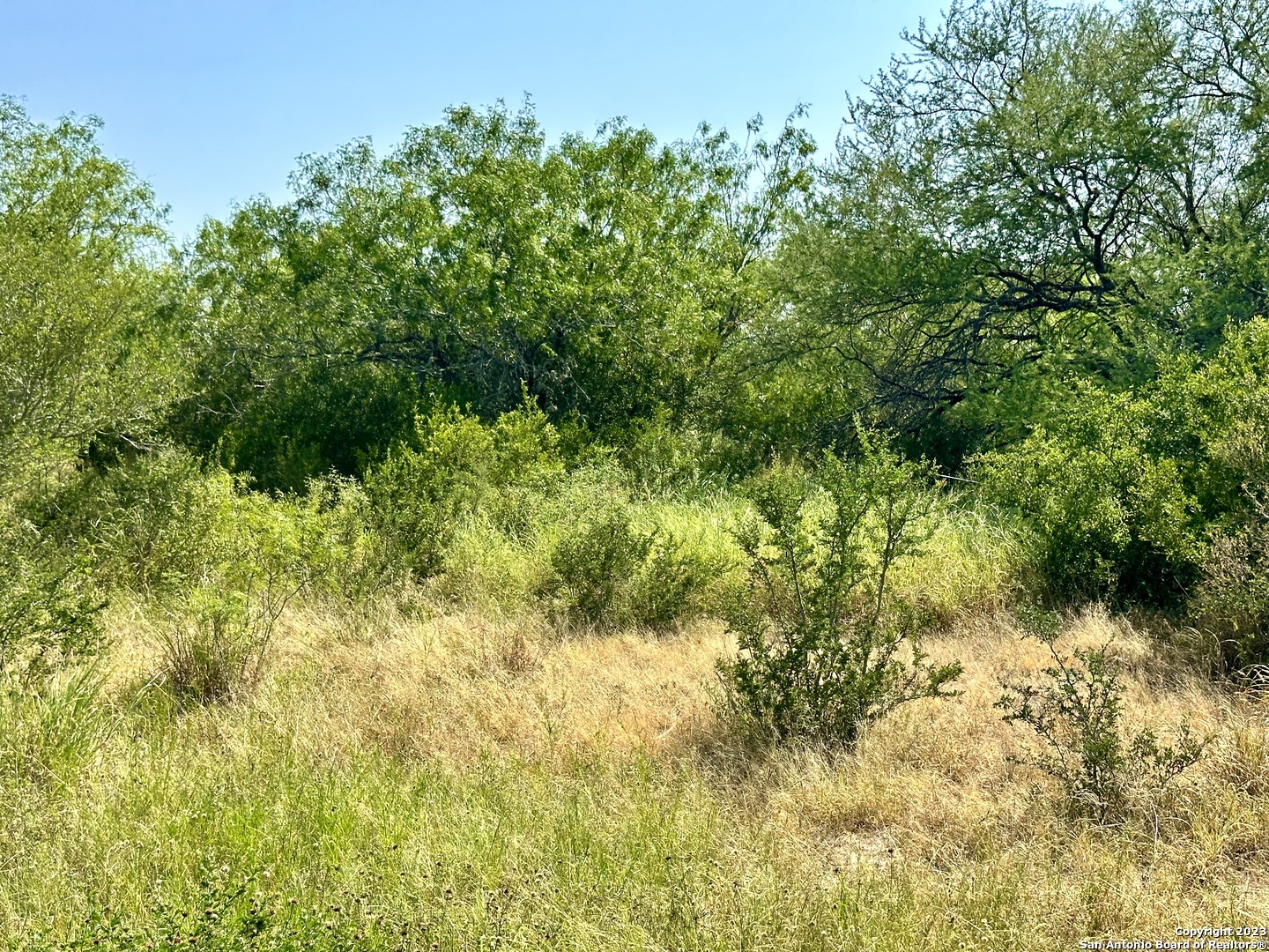 O County Road 116 George West TX 78022