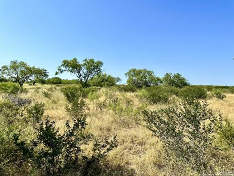 O County Road 116 George West TX 78022