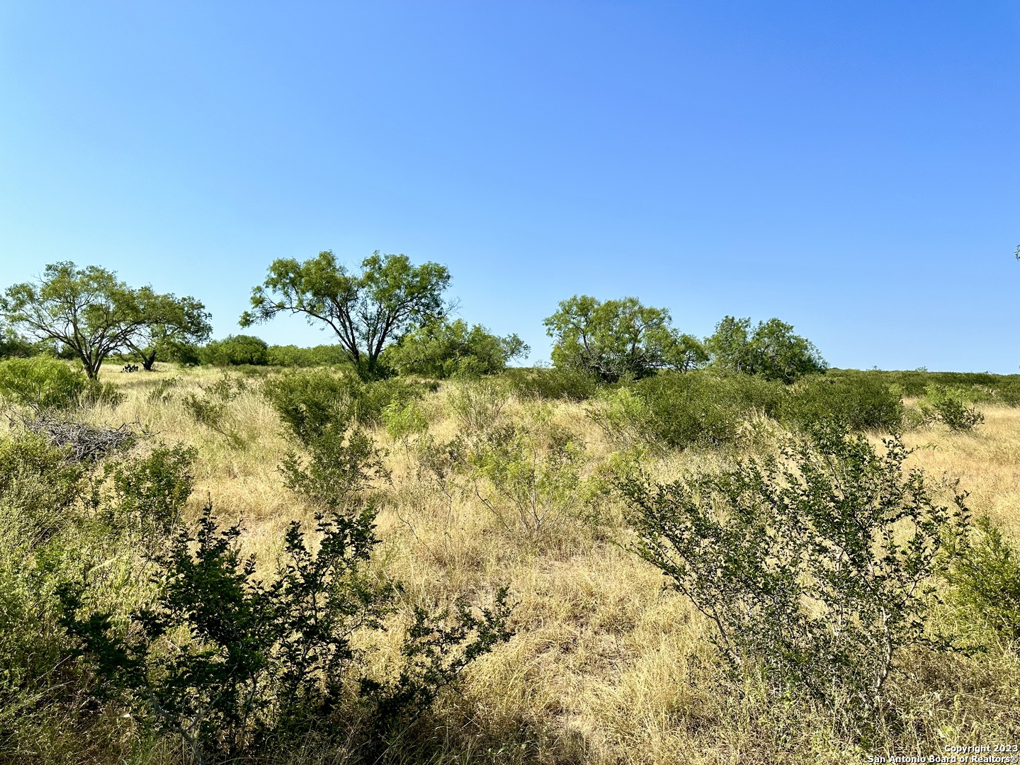 O County Road 116 George West TX 78022