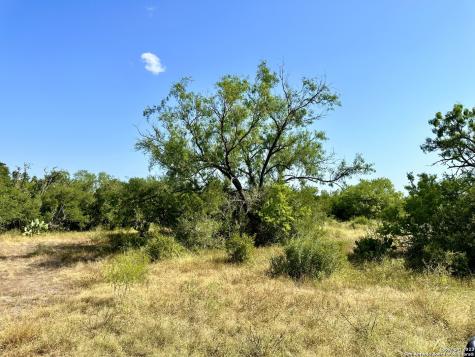 O County Road 116 George West TX 78022