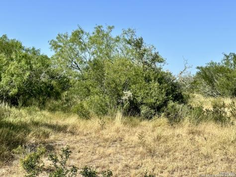 O County Road 116 George West TX 78022