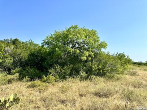 O County Road 116 George West TX 78022