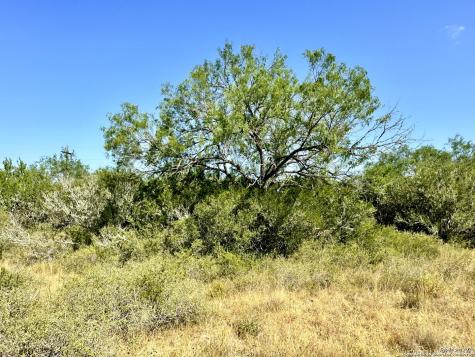 O County Road 116 George West TX 78022