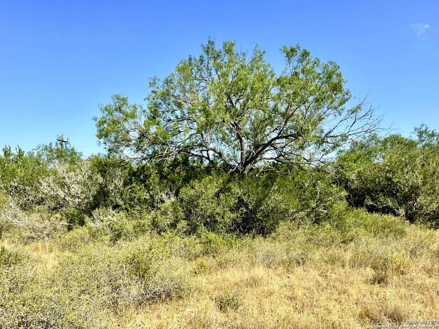 O County Road 116 George West TX 78022